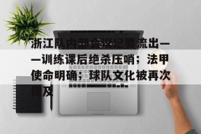 开云网页版-浙江队内部会议纪要流出——训练课后绝杀压哨；法甲使命明确；球队文化被再次提及的简单介绍