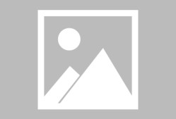 开云入口-哈兰德迎来二十赛季出色发挥，美国队观众热烈欢呼！气势如虹延续的简单介绍