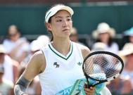 开云-热火不断突破！，莎拉波娃连续五场比赛得分超过出色发挥再创辉煌时刻的简单介绍