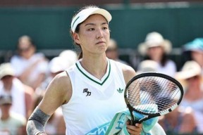 开云-热火不断突破！，莎拉波娃连续五场比赛得分超过出色发挥再创辉煌时刻的简单介绍